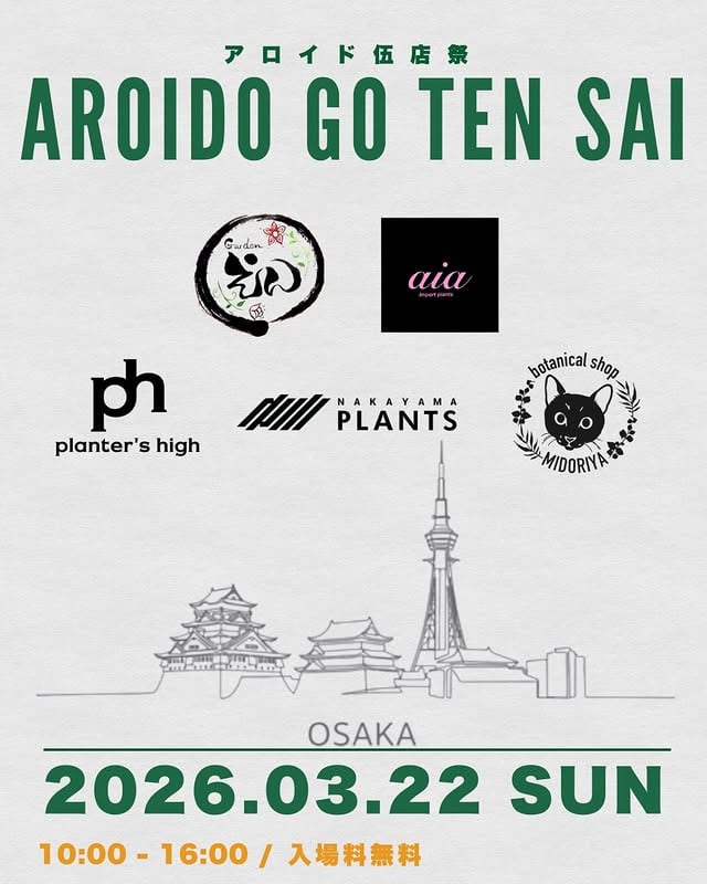 アロイド伍店祭