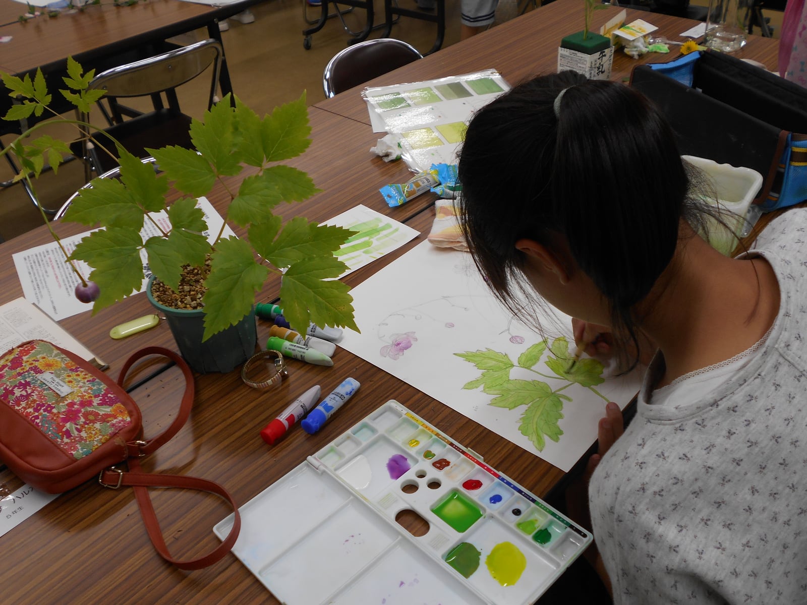 こども植物画教室
