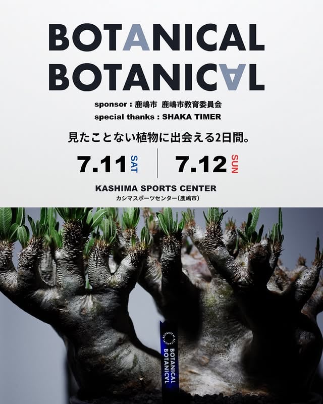 BOTANICAL BOTANICAL KASHIMA