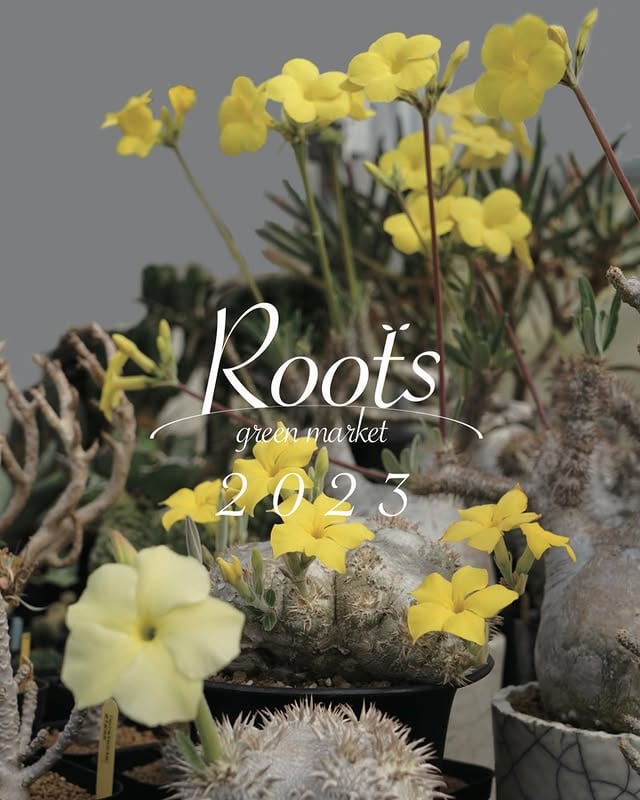 rootsgreenmarket