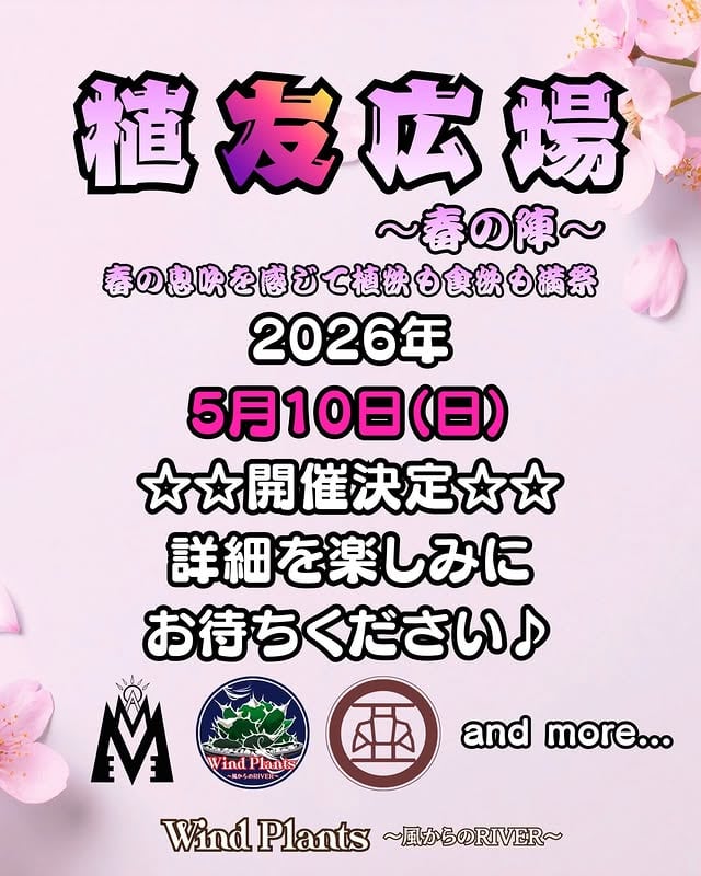 植友広場~春の陣~ の画像