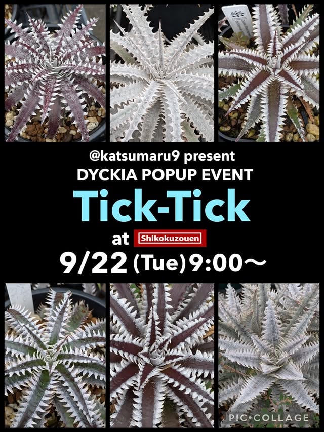Tick-Tick
