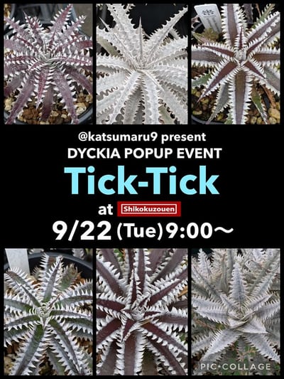 Tick-Tick