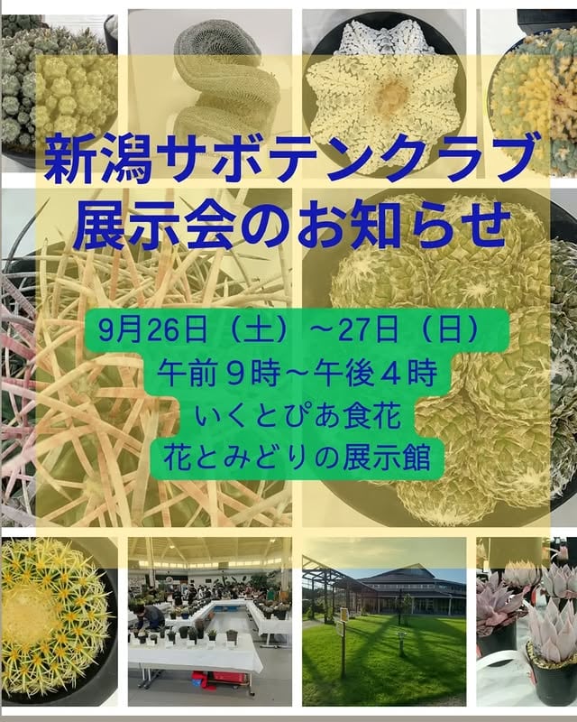 新潟サボテンクラブ展示会