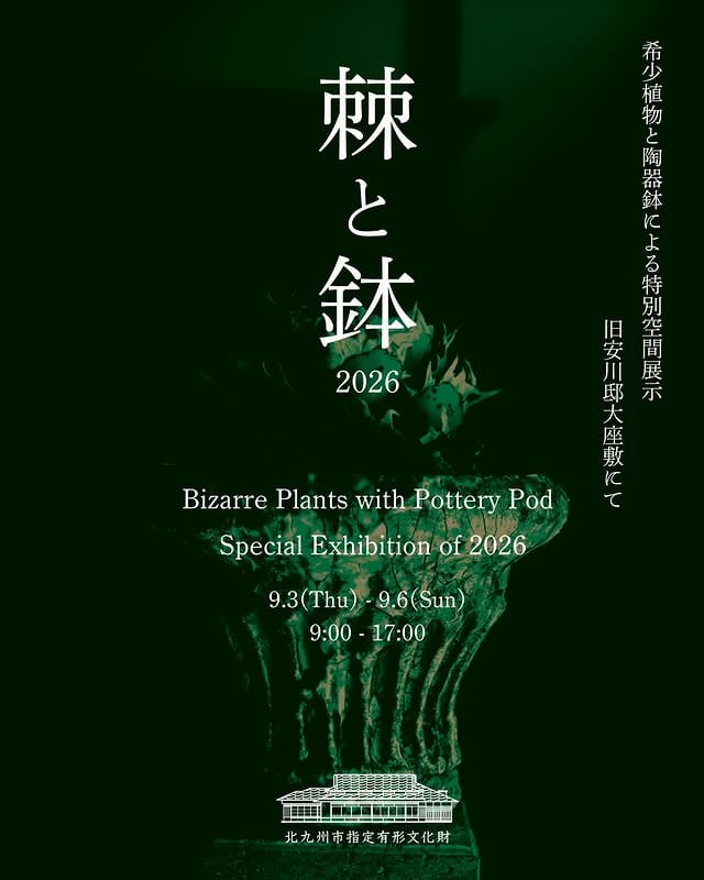 棘と鉢-2026-