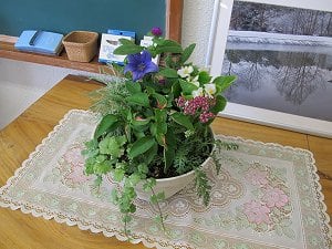 8月の寄せ植え教室