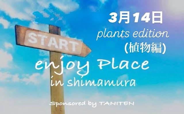 enjoy place Plants edition