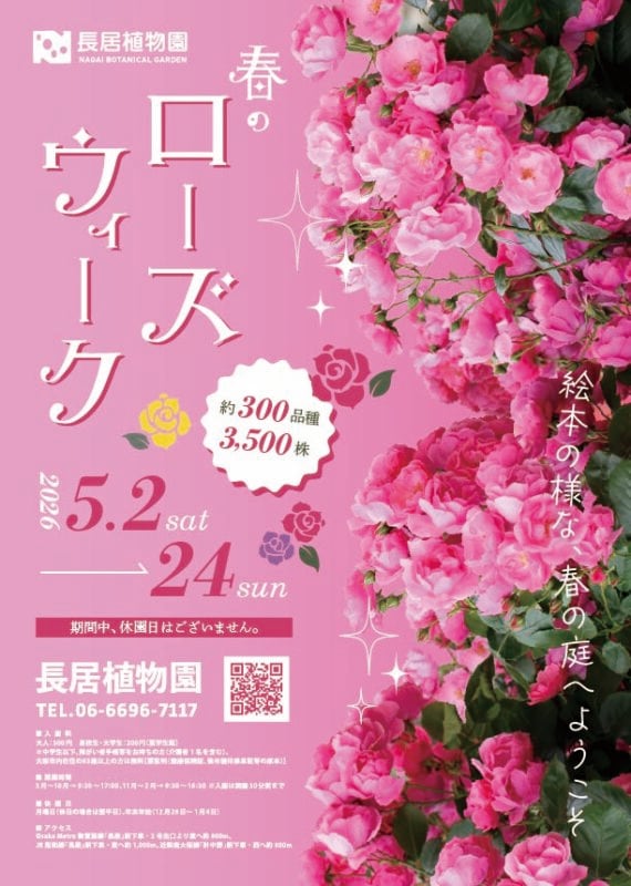 推しバラ大総選挙