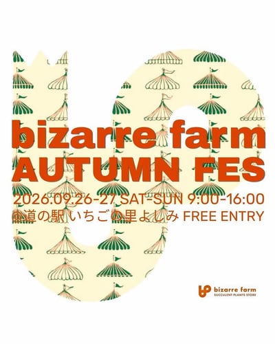 bizarre farm AUTUMN FES