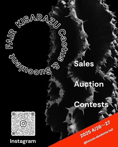 KISARAZU C&S FAIR