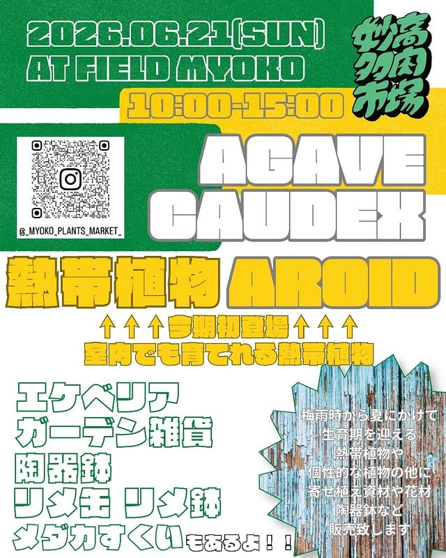 妙高多肉市場 vol.14