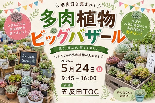 多肉植物ビッグバザール