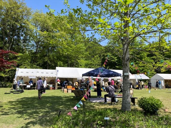 秋保大滝植物園まつり