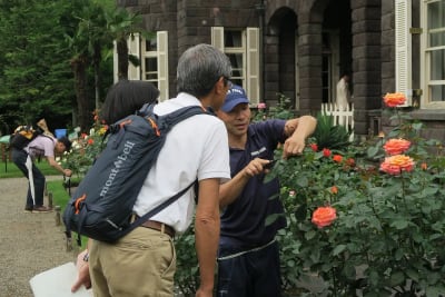 伝統技能見学会〈春バラの花後から秋バラまでの管理について〉開催_01