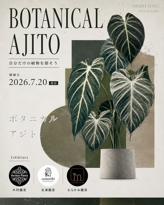 BOTANICAL AJITO
