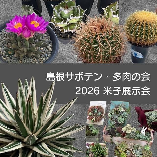 島根サボテン・多肉の会 2026 米子展示会