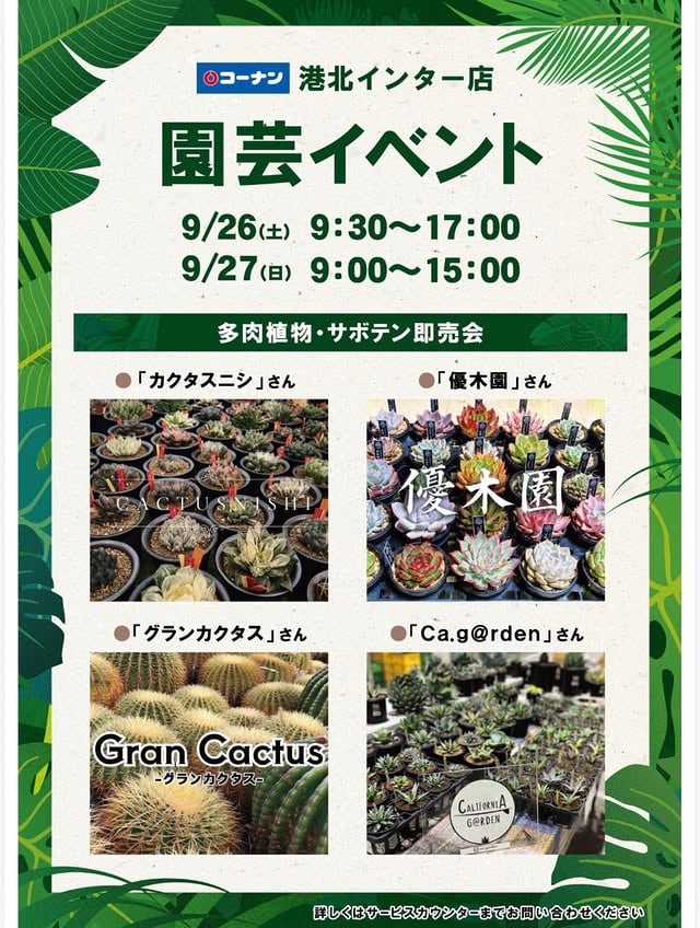 コーナン港北インター店 多肉植物・サボテン即売会