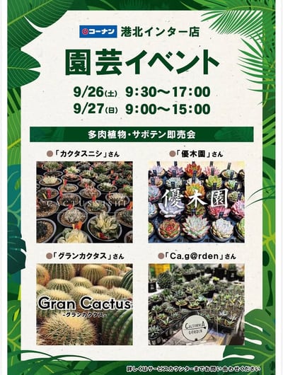 コーナン港北インター店 多肉植物・サボテン即売会