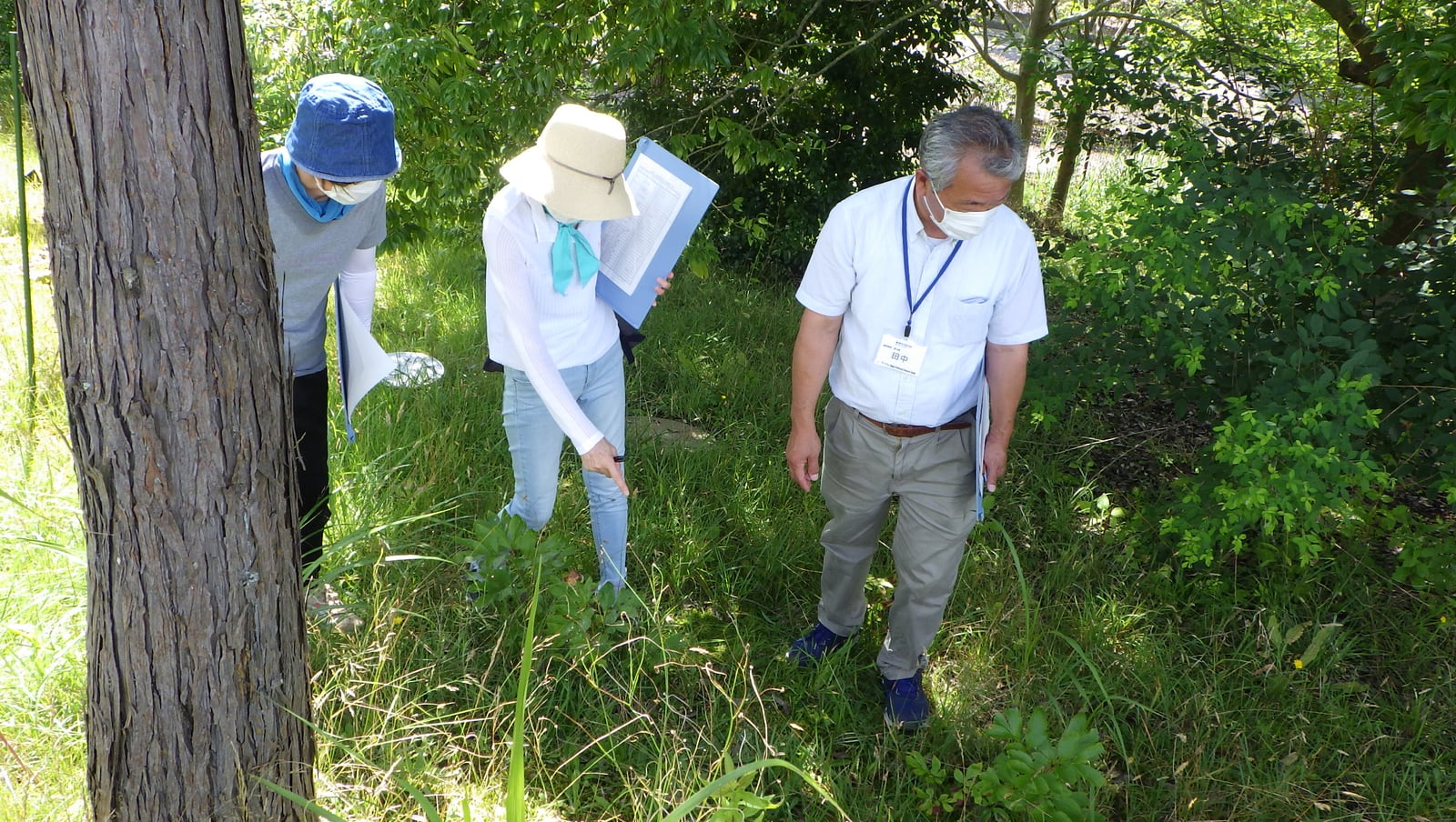 花と緑の教室「園内解説walk~初夏の雑草をみにいこう!~」