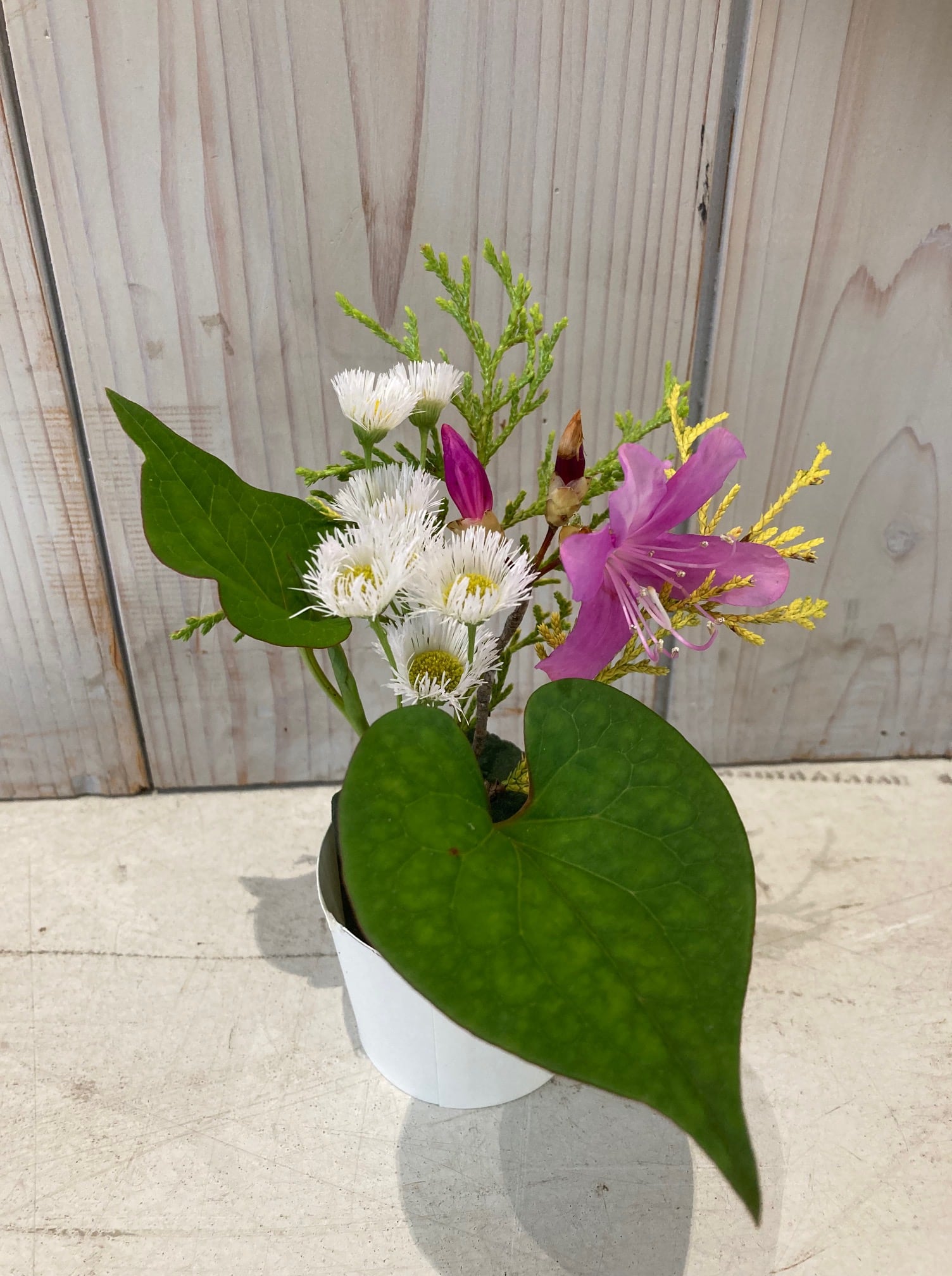 だれでも体験プログラム5月「季節の生け花をつくろう!」