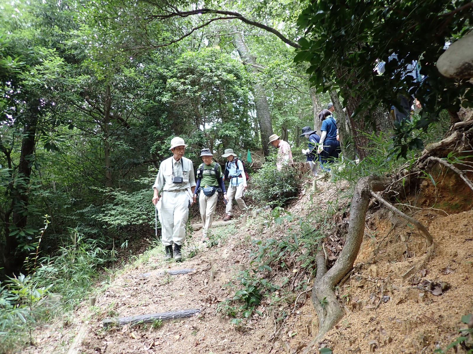 第5回自然観察講座 「夏の森林めぐり」 パート2 ~木陰を求めて~