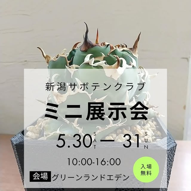 ミニ展示会