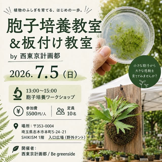 胞子培養教室&板付け教室
