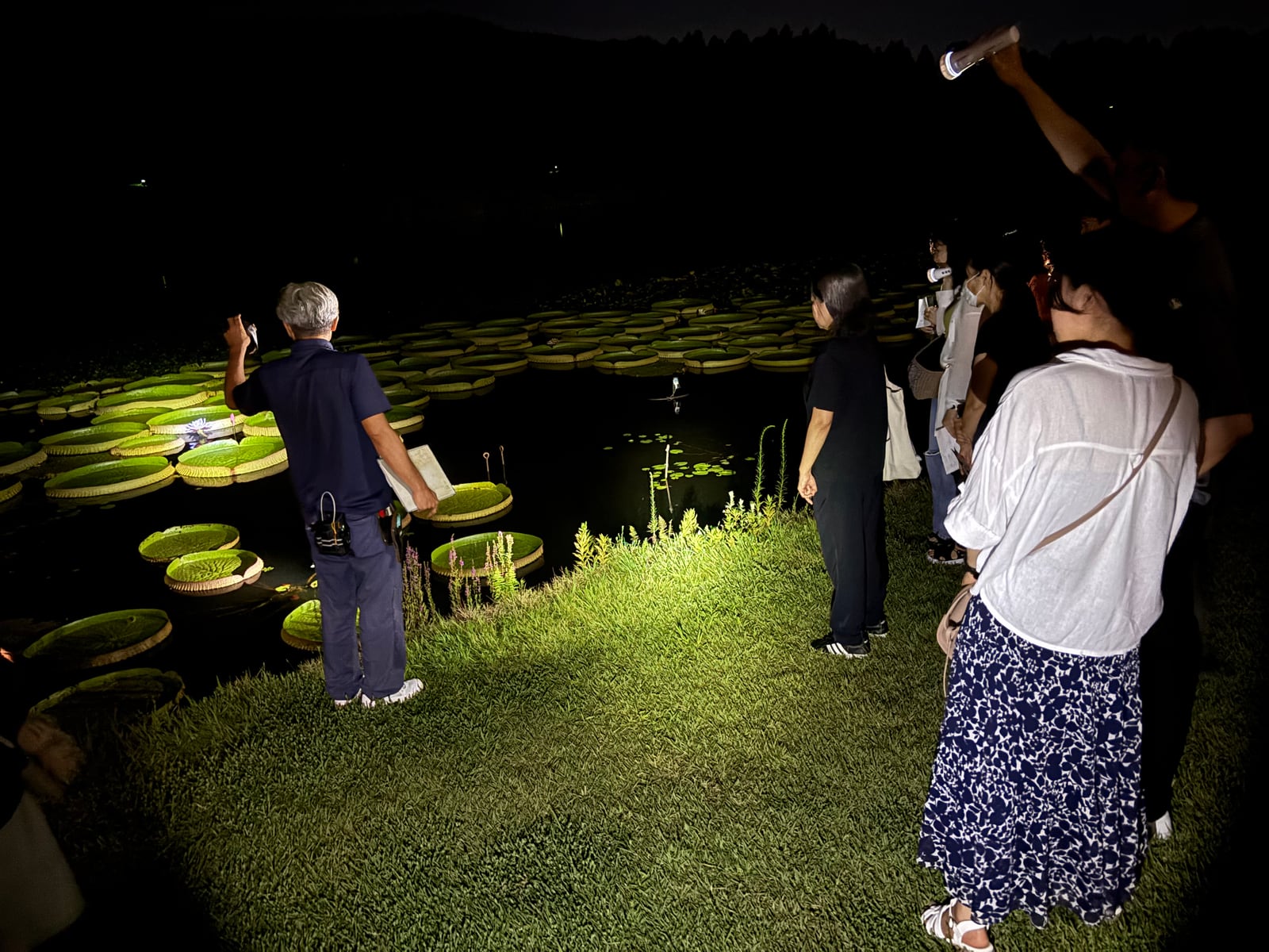 花と緑の教室「園内解説walk～夜に咲く花・香る花をみにいこう！～」