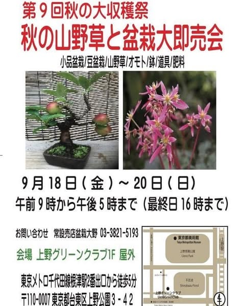 第9回秋の大収穫祭 秋の山野草と盆栽大即売会