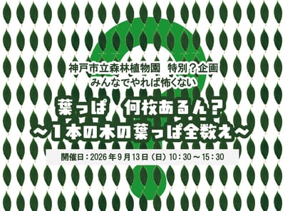 葉っぱ 何枚あるん？ ～1本の木の葉っぱ全数え～