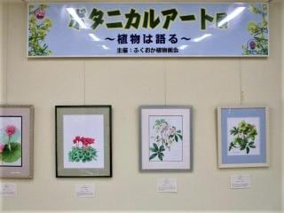 ボタニカルアート展~植物は語る~