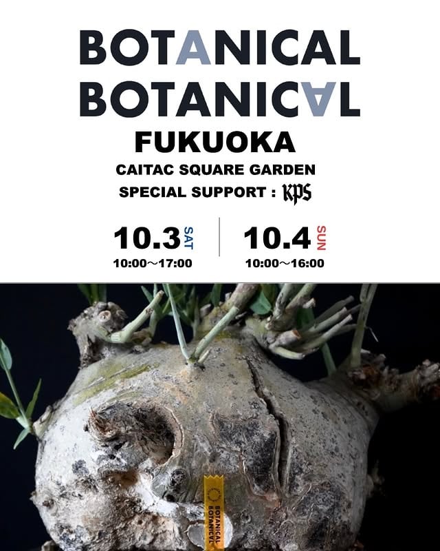 BOTANICAL BOTANICAL FUKUOKA