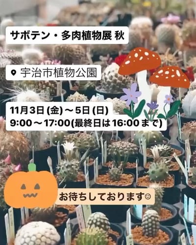 サボテン・多肉植物展 秋