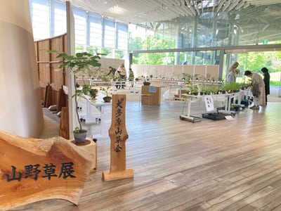 山野草展＆昭島市盆栽展