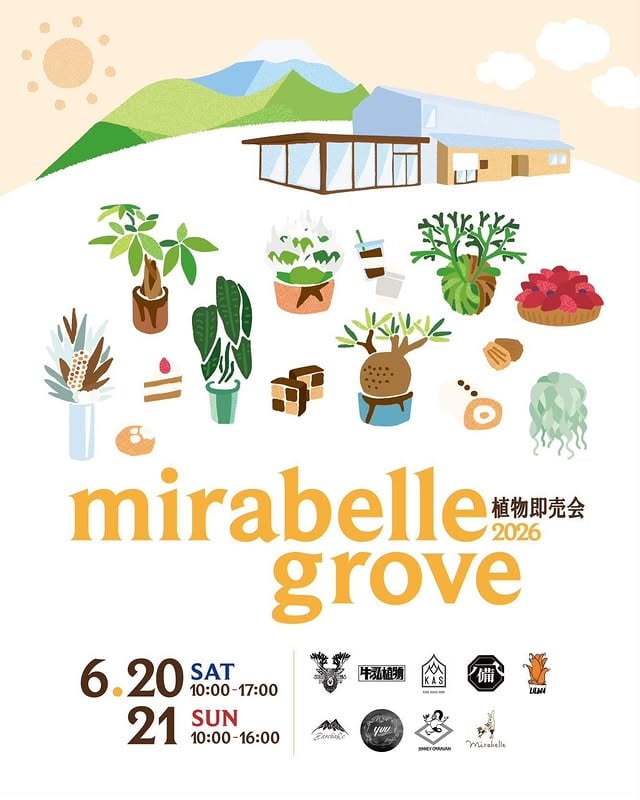 mirabelle grove 2026