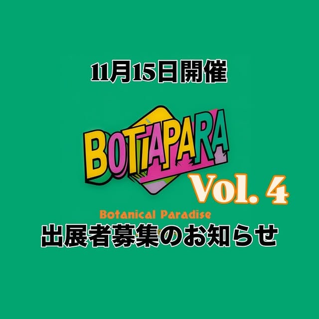 Bota Para Vol.4