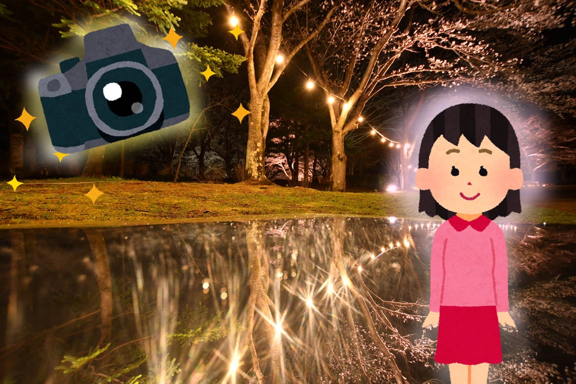 サクラフォトサービス~みちのく花明かり~ イメージ画像1