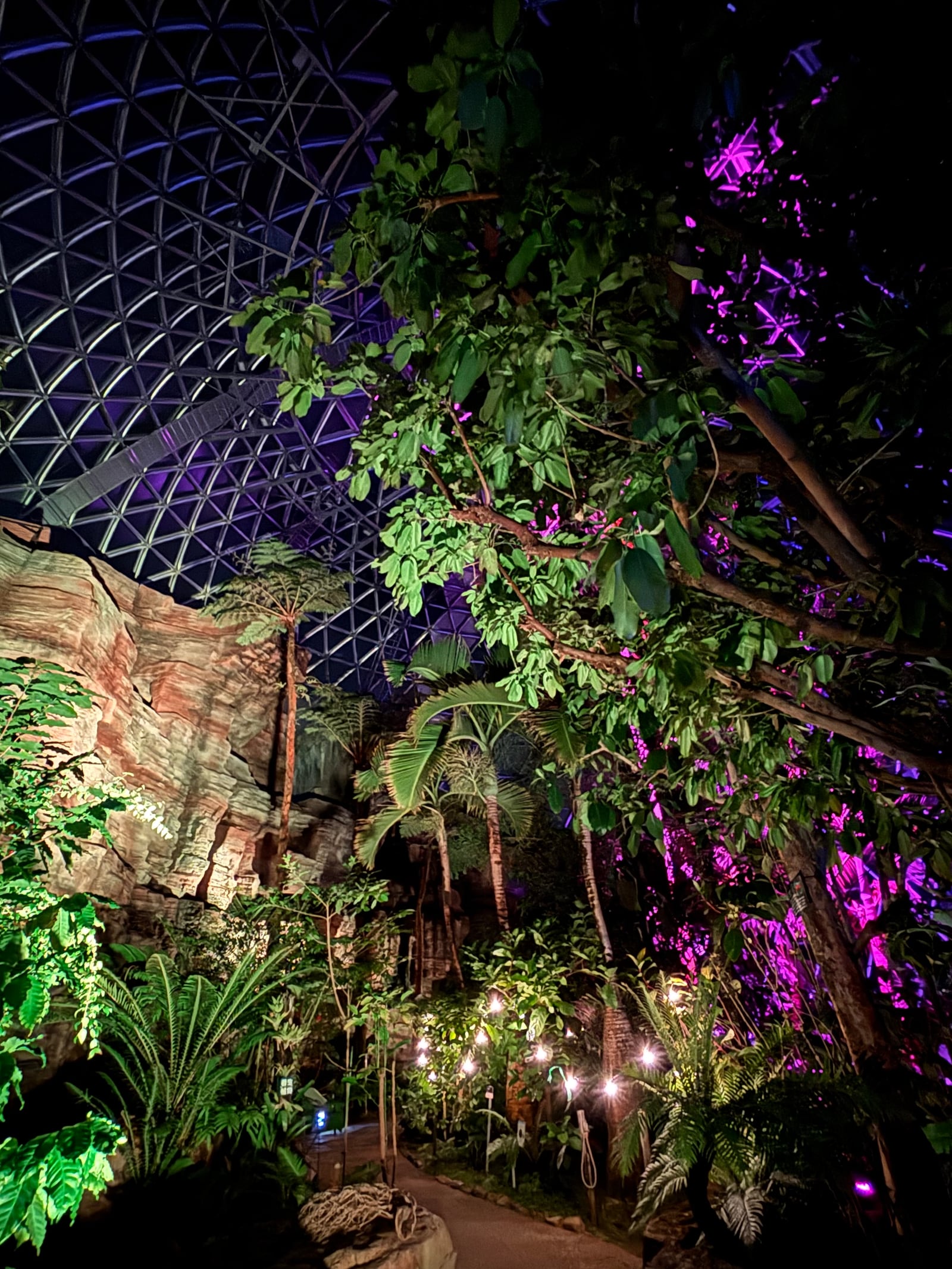 植物園サマーフェスタ～Tropical Festival～