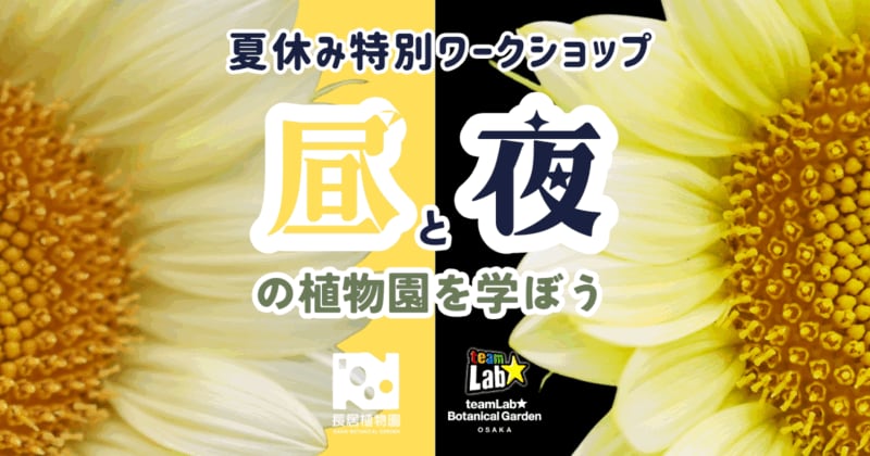 『夏休み特別ワークショップ』長居植物園とチームラボボタニカルガーデン =昼と夜の植物園を学ぼう=