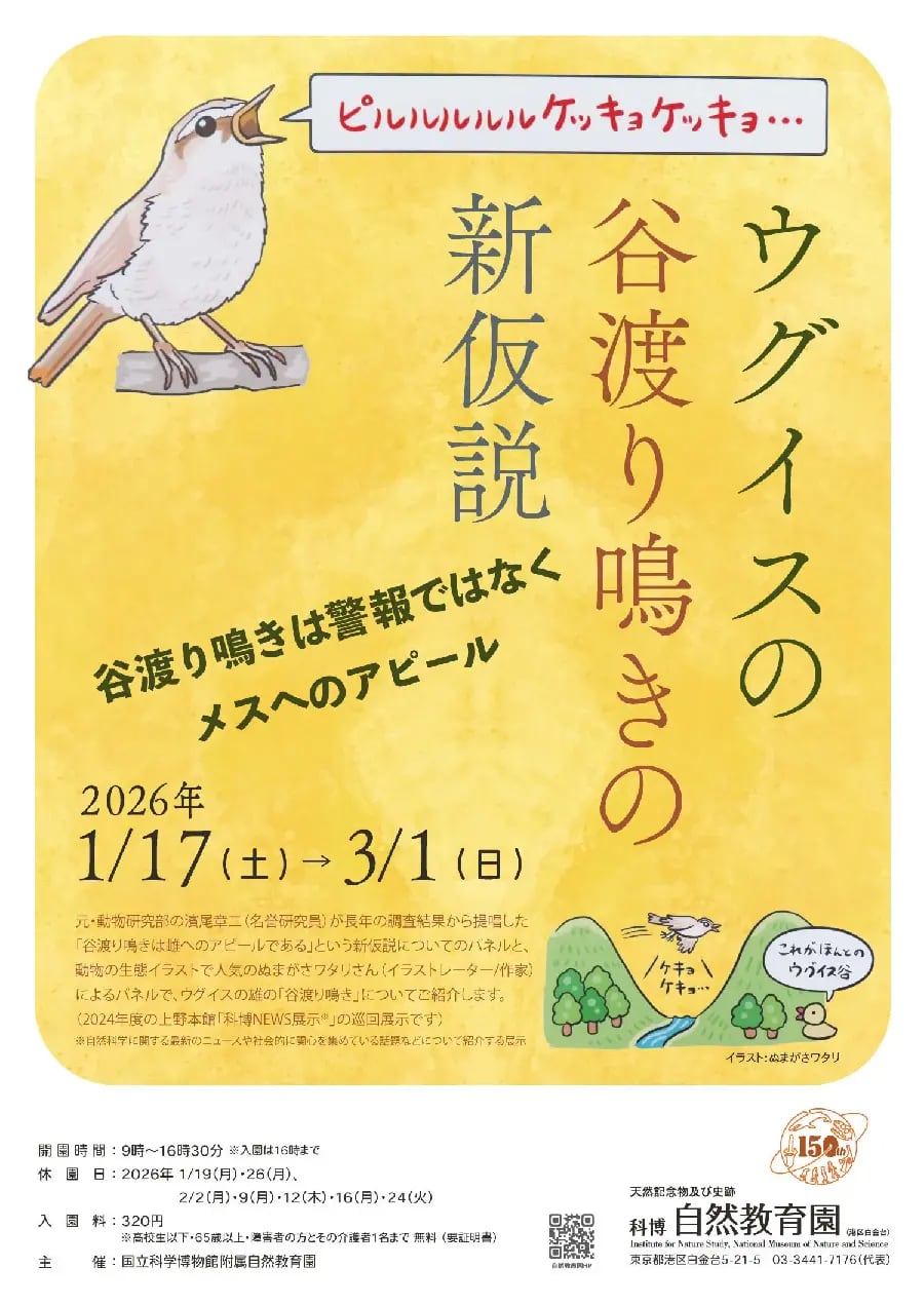 ウグイスの谷渡り鳴きの新仮説－谷渡り鳴きは警報ではなくメスへのアピール