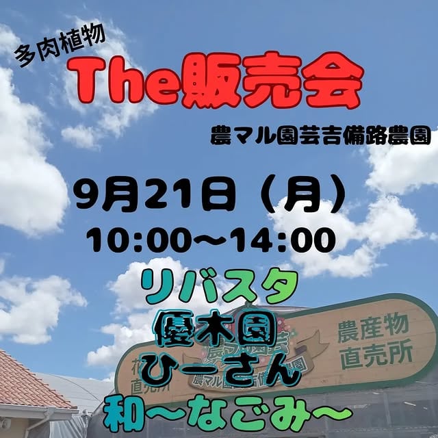 多肉植物『The販売会』