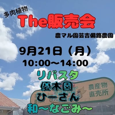 多肉植物『The販売会』