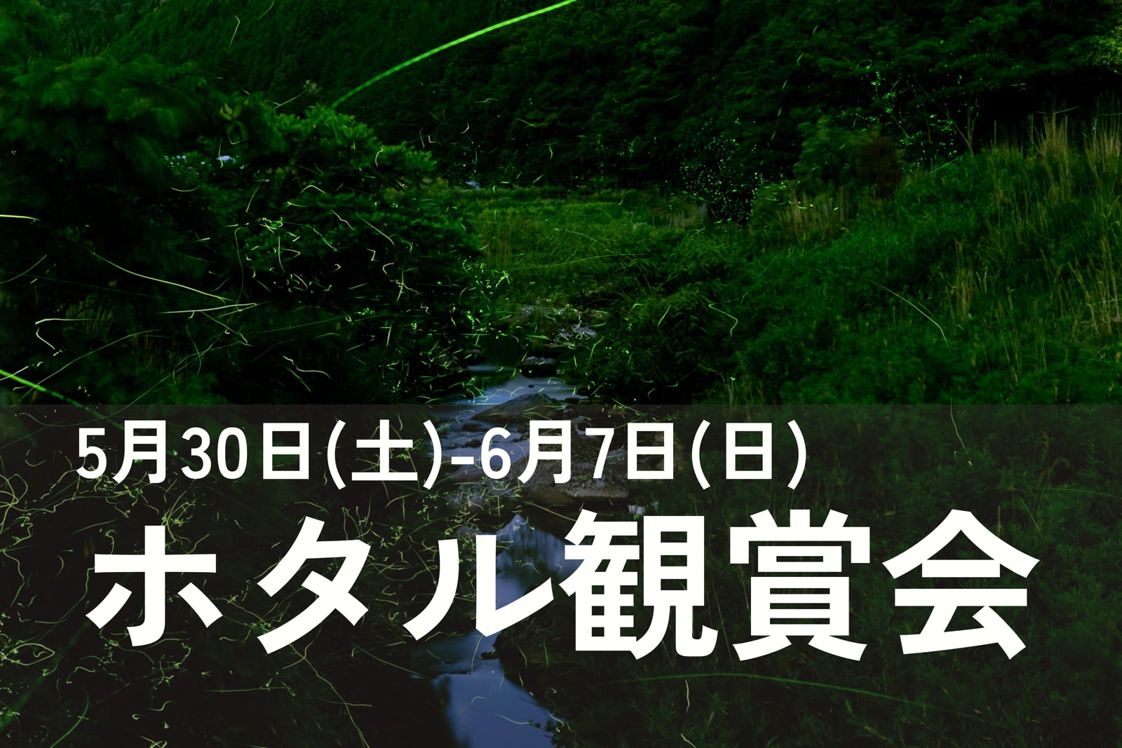 令和8年度 ホタル観賞会