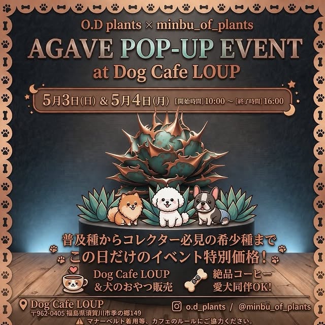 AGAVE POP-UP EVENT at Dog Cafe LOUP
