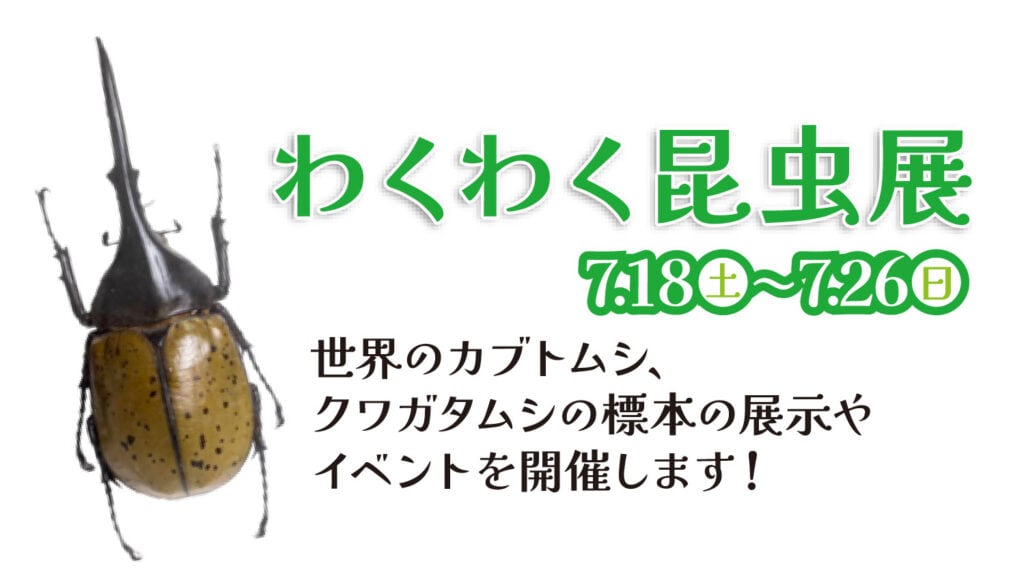 わくわく昆虫展