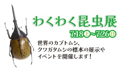 わくわく昆虫展