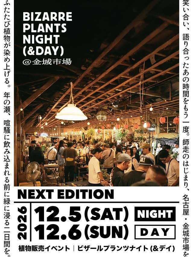 ビザールプランツナイト(&デイ)