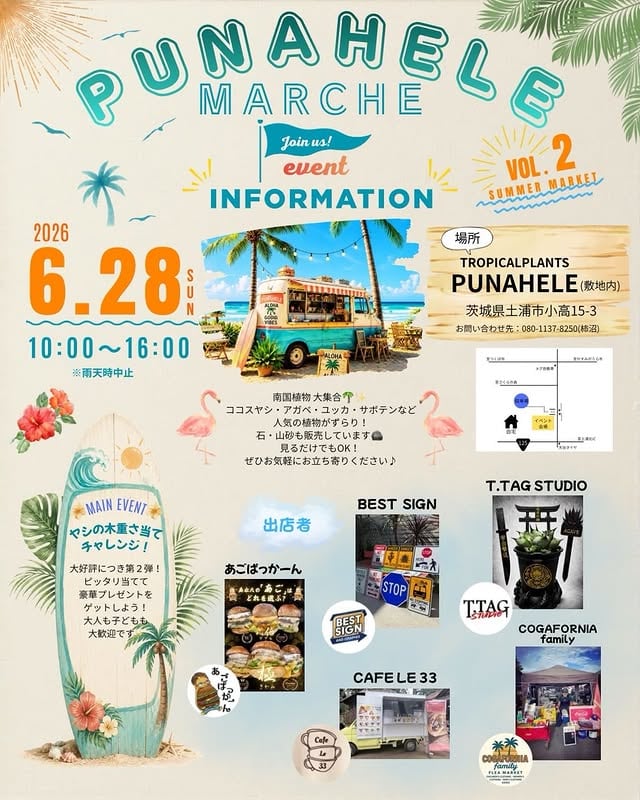 PUNAHELE MARCHE