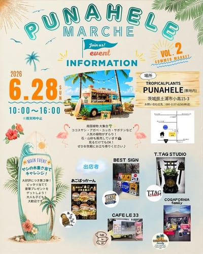 PUNAHELE MARCHE