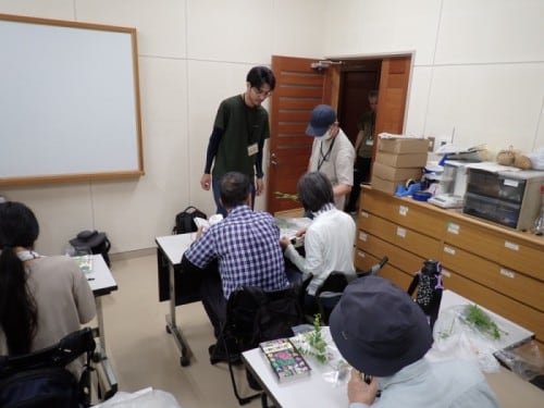 観察イベント「植物の見分け方」